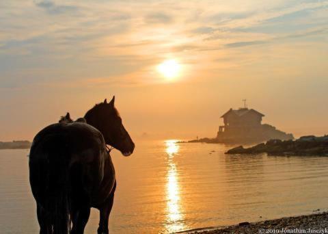 Atlantic Haven Bed & Breakfast Sligo Esterno foto